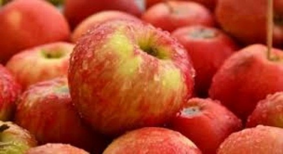 Himachal likely to produce 30 million boxes of apple