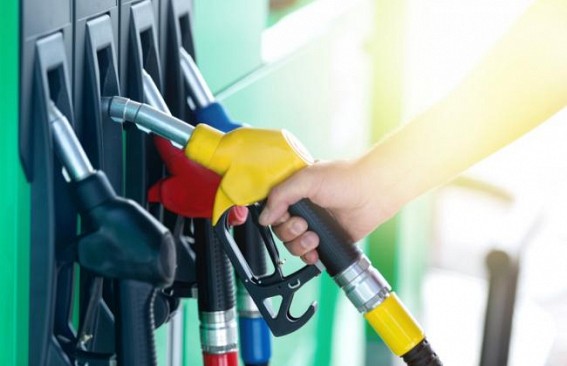 Bring petroleum, real restate under GST, urges Assocham Bring petroleum, real restate under GST, urges Assocham