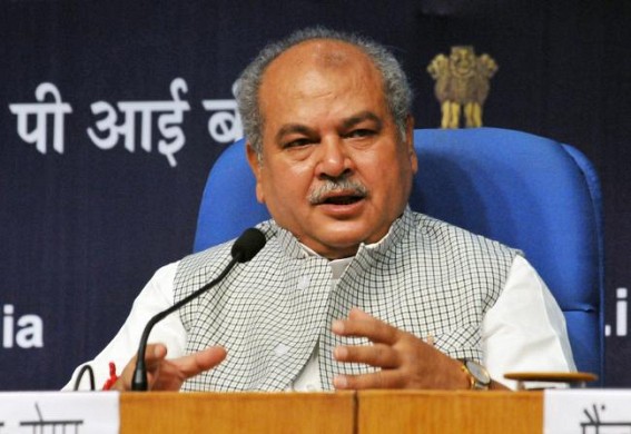 Country needs another green revolution: Tomar Country needs another green revolution: Tomar