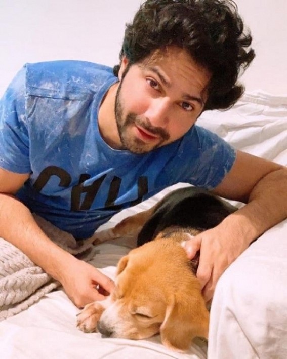 Varun Dhawan shares adorable picture with his puppy Angel