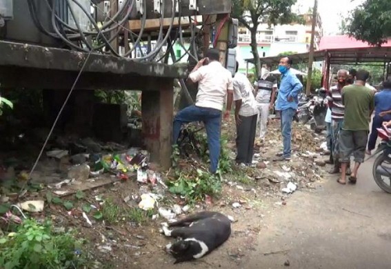 Electric lines left in deplorable shape in various parts of Agartala city, Dog dies after electric wire fell on it Electric lines left in deplorable shape in various parts of Agartala city, Dog dies after electric wire fell on it