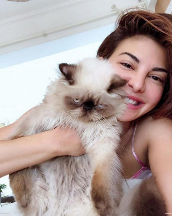 Jacqueline Fernandez posts selfie with pet cat Jacqueline Fernandez posts selfie with pet cat
