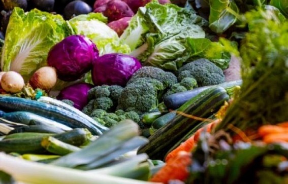 Experts call for vitamins, minerals rich diet to fight against Covid-19 Experts call for vitamins, minerals rich diet to fight against Covid-19