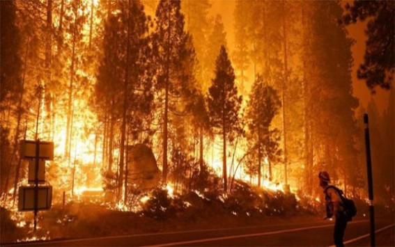 State of emergency in 5 California counties over wildfires State of emergency in 5 California counties over wildfires