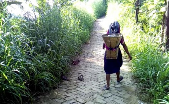 Tripura village left cut from Electricity Connection, Water Connectivity Tripura village left cut from Electricity Connection, Water Connectivity