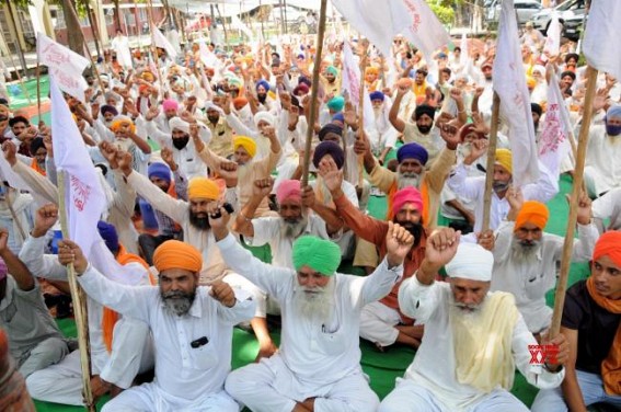 Punjab farmers to hold state-wide protests on Oct 17 Punjab farmers to hold state-wide protests on Oct 17