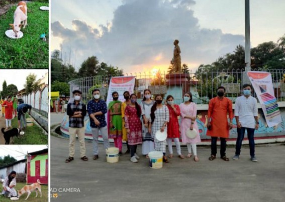 NGO UDYOG served foods to street dogs in Festival days 