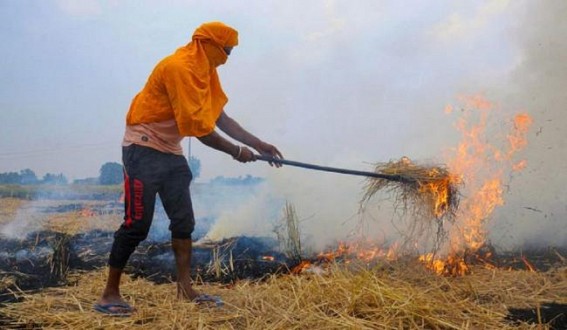 Stubble burning contributing 40% to Delhi's pollution