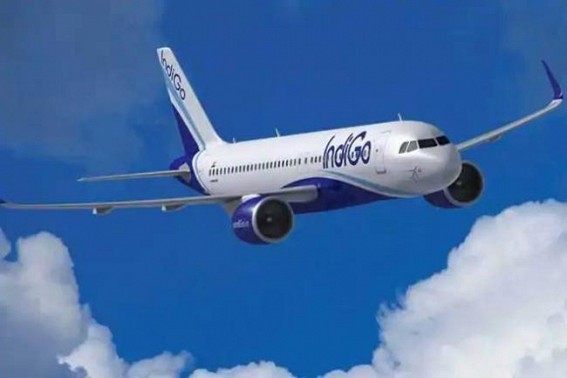 IndiGo, Stemz Healthcare to offer RT-PCR test with flight bookings