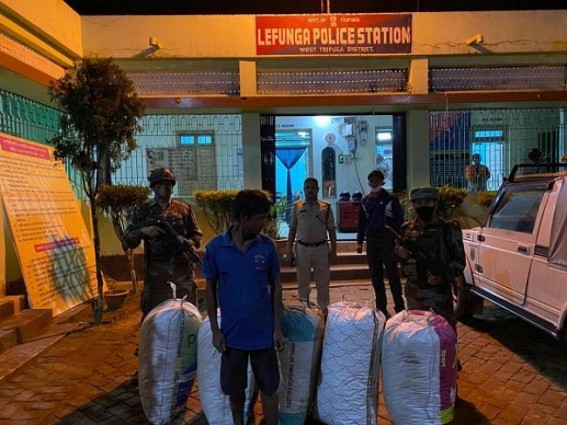 Security Forces seized 100 KG Dry Ganja : Drug Peddler Arrested Security Forces seized 100 KG Dry Ganja : Drug Peddler Arrested