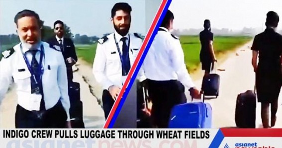 Indigo crew seen pulling luggage through Punjab's fields Indigo crew seen pulling luggage through Punjab's fields