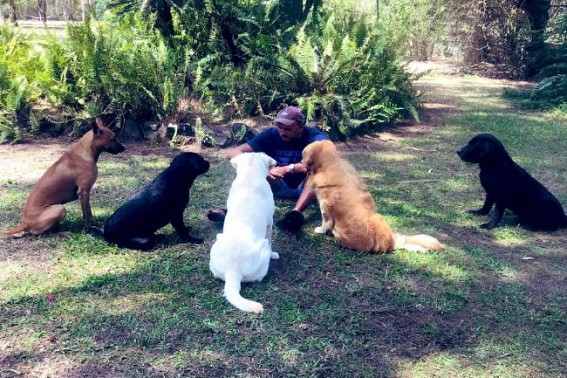 Shastri meets 'ICC regulations' in huddle with dogs