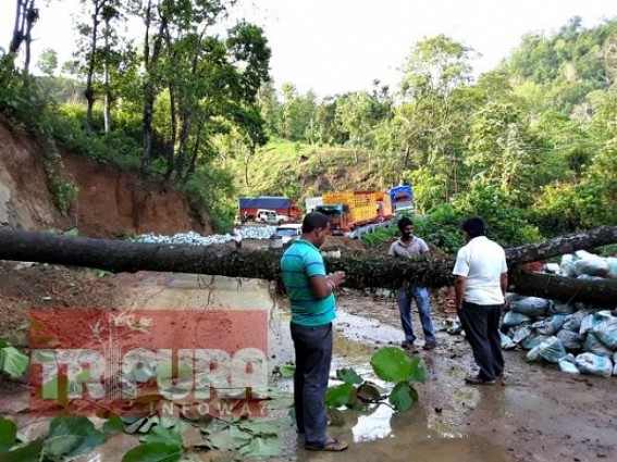 Transport Services paralyzed across Tripura, Baramura, Atharomura road blocked after tree collapsed : Restoration works underway