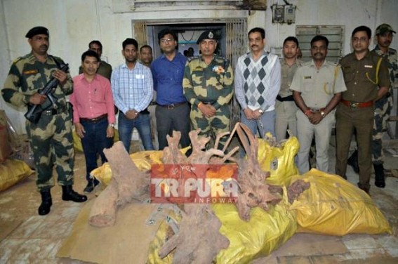 Sandalwood seizure from Govt godown case : No arrest yet 