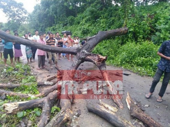 TSR jawan died pathetically on spot after a big tree fell on him at Takarjala 