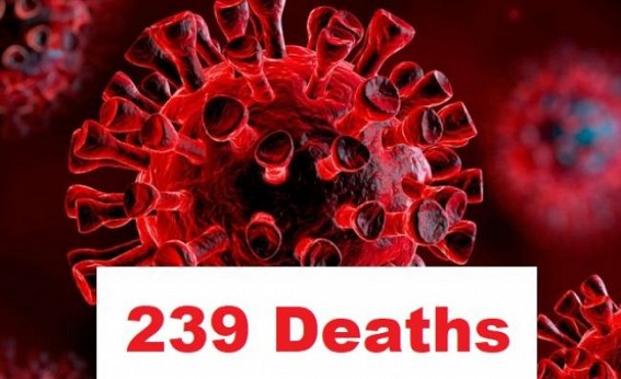 239 Confirmed COVID-19 deaths in India 239 Confirmed COVID-19 deaths in India