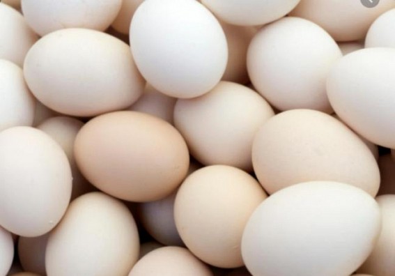 Plastic Eggs selling allegations hits Kanchanpur 