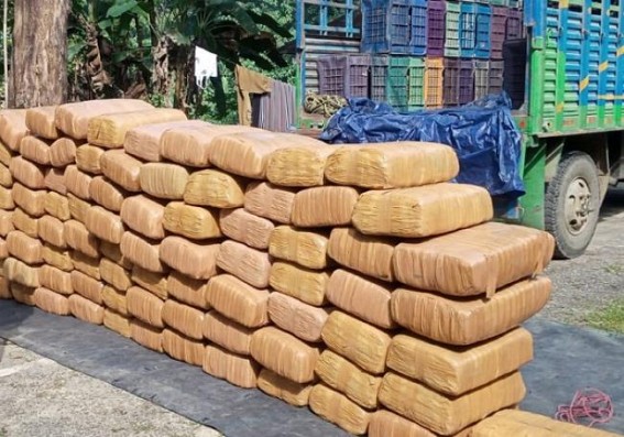 Large quantity of Cannabis seized by Tripura police worth Rs. 1 Crore Large quantity of Cannabis seized by Tripura police worth Rs. 1 Crore