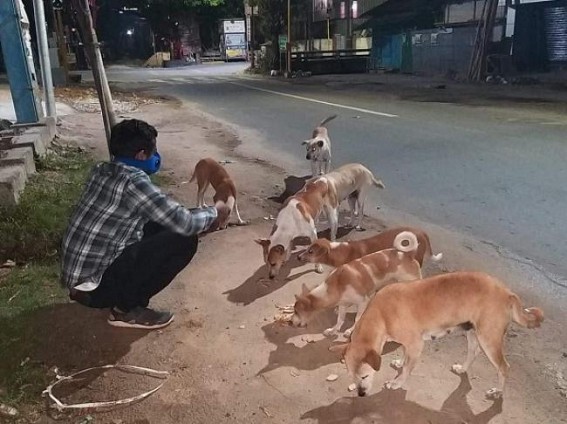 Street-Dogs lives on threat due to Corona-Virus outbreak, no Food