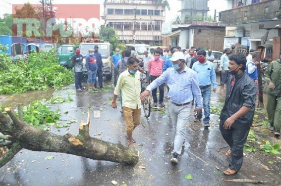 Storm uprooted trees, SDM visited across affected areas