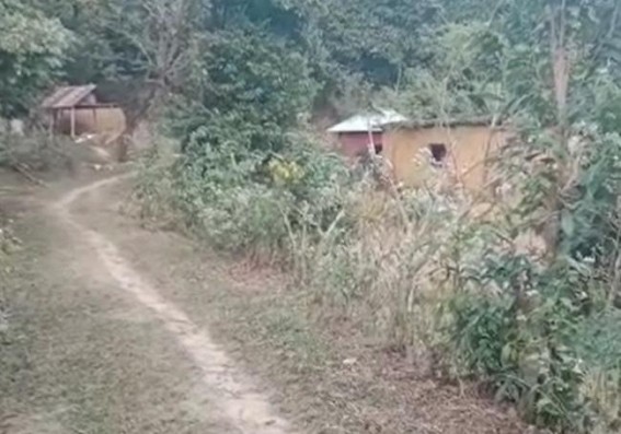 Elephants destroyed houses at Teliamura, Ward-6 : Forest Department allegedly denied to visit the spot