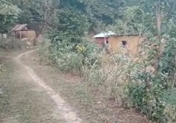 Elephants destroyed houses at Teliamura, Ward-6 : Forest Department allegedly denied to visit the spot Elephants destroyed houses at Teliamura, Ward-6 : Forest Department allegedly denied to visit the spot