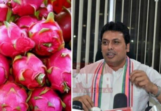Wastage of Funds in Dragon Fruit Plant Purchasing Tender in Tripura : No Benefit to Unemployed Youths 