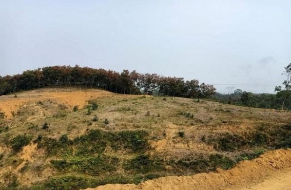 After deforestation, no sign of tourist spot yet at Udaipur : Local people raising fingers at Govt After deforestation, no sign of tourist spot yet at Udaipur : Local people raising fingers at Govt