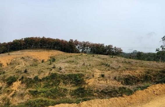 After deforestation, no sign of tourist spot yet at Udaipur : Local people raising fingers at Govt