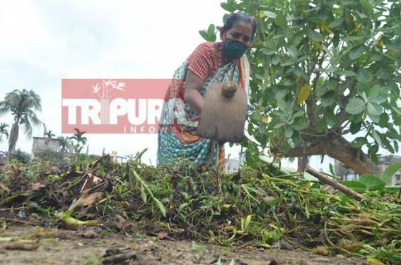 MGNREGA, TUEP works started in Tripura with Social Distancing