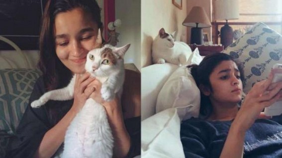 Alia Bhatt mourns the loss of pet cat Sheeba Alia Bhatt mourns the loss of pet cat Sheeba
