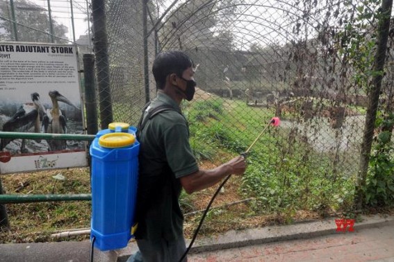 Bird flu scare: Centre asks states, UTs to increase surveillance Bird flu scare: Centre asks states, UTs to increase surveillance