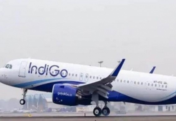 IndiGo transports over 2.1 mn vaccine doses in 8 days IndiGo transports over 2.1 mn vaccine doses in 8 days