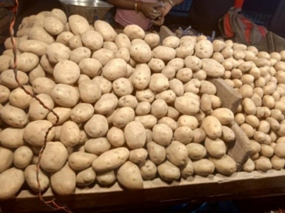 Two new potato varieties to improve yield by 25% Two new potato varieties to improve yield by 25%