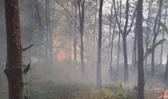 Miscreants set fire in Rubber garden in Amarpur Miscreants set fire in Rubber garden in Amarpur
