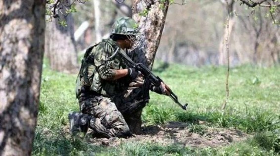 Gunfight breaks out in South Kashmir's Pulwama