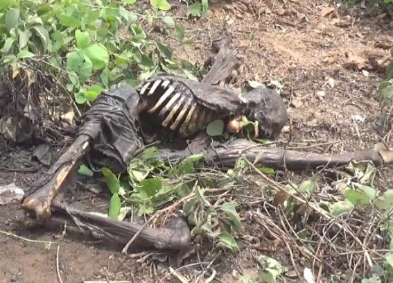 Human skeleton found in deep forest at Nandannagar