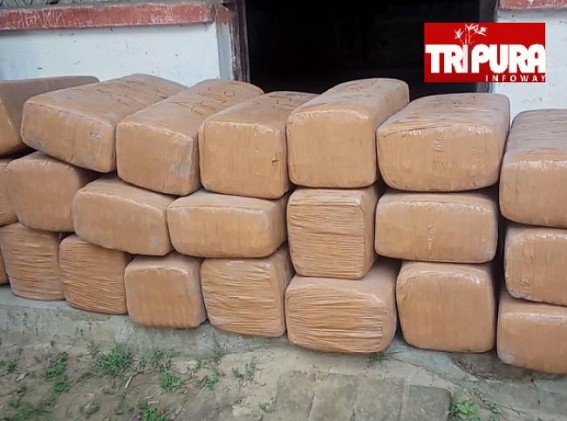Huge amount of dry Cannabis recovered : 476 kg Cannabis worth Rs 25 lakhs recovered from six-wheeler lorry in Teliamura Huge amount of dry Cannabis recovered : 476 kg Cannabis worth Rs 25 lakhs recovered from six-wheeler lorry in Teliamura