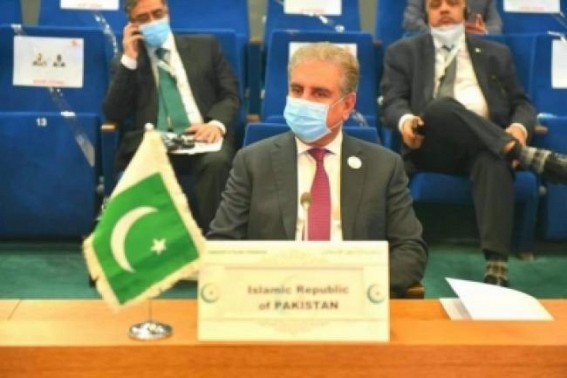 Pak FM calls for UN's decisive role in resolving Kashmir dispute Pak FM calls for UN's decisive role in resolving Kashmir dispute