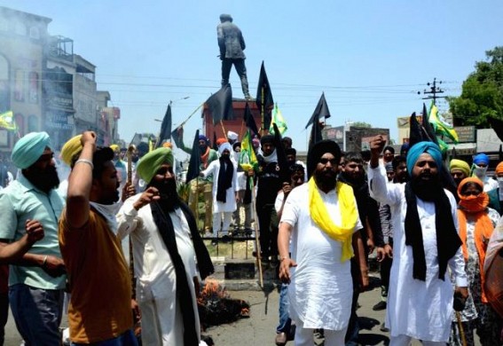 Farmers protesting farm laws in Punjab, Haryana observe 'Black Day' Farmers protesting farm laws in Punjab, Haryana observe 'Black Day'