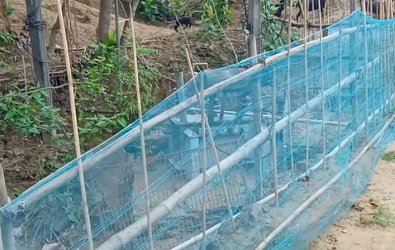 Despite complaining repeatedly, electrical transformer left in an awkward position risking the lives of the locals Despite complaining repeatedly, electrical transformer left in an awkward position risking the lives of the locals