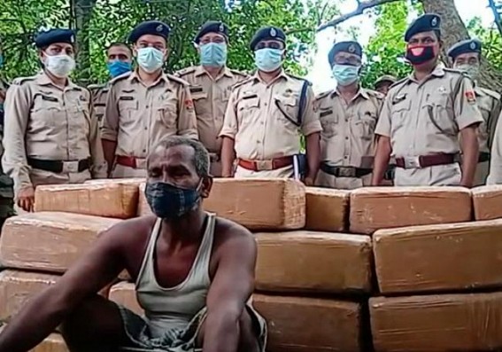 Huge quantity of cannabis recovered by Teliamura police : Driver detained Huge quantity of cannabis recovered by Teliamura police : Driver detained