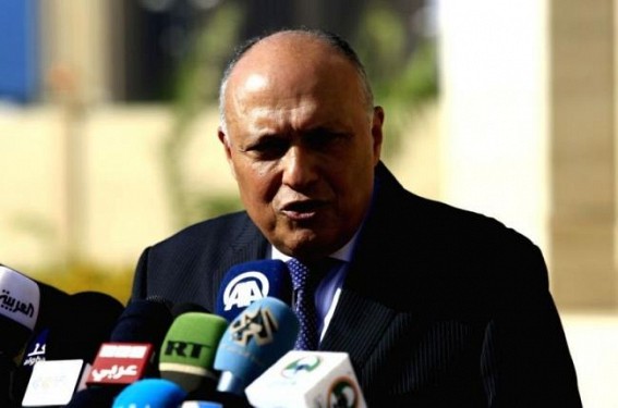 Egyptian FM calls on new Israeli govt to resume regional peace process