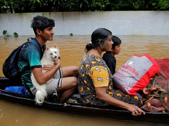 Maha flood situation eases, toll climbs to 192, 25 still missing Maha flood situation eases, toll climbs to 192, 25 still missing