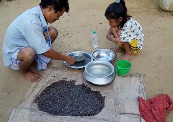 Food Crisis in Tripura Hills, Tadpoles only support for meals
