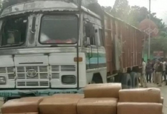 Huge amount of cannabis recovered from a 10 wheeler while smuggling in Kumarghat