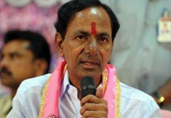 TRS makes clean sweep in Telangana Council polls