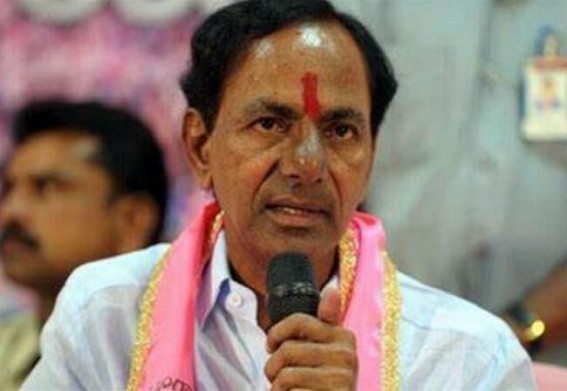 TRS makes clean sweep in Telangana Council polls TRS makes clean sweep in Telangana Council polls
