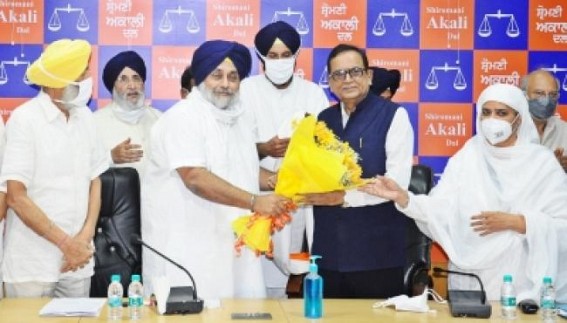 SAD joins hands with BSP for Punjab polls; latter to contest 20 seats 