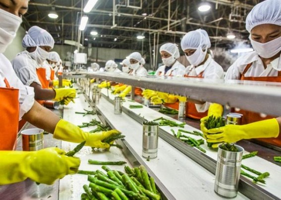 Food processing becomes preferred sector in UP